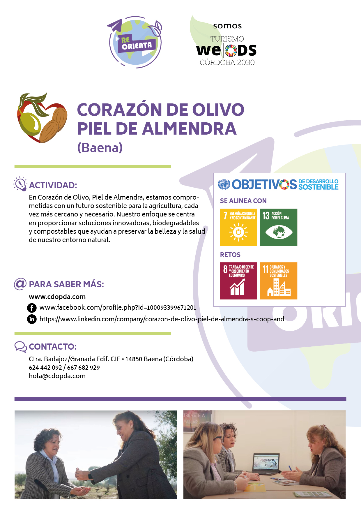 CORAZÓN DE OLIVO PIEL DE ALMENDRA