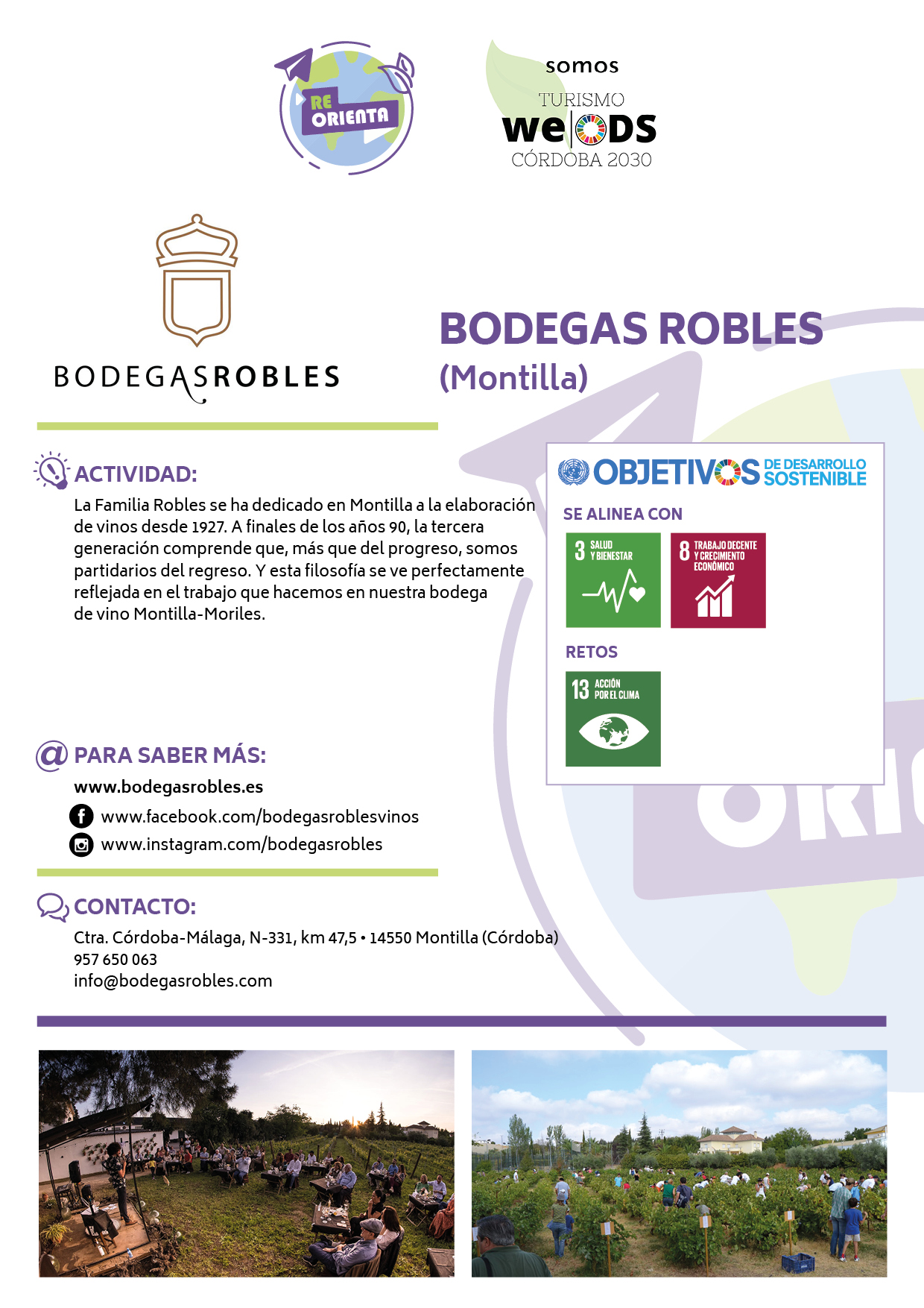 BODEGAS ROBLES