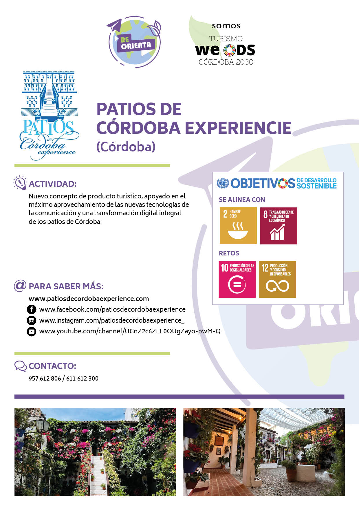 PATIOS DE CÓRDOBA EXPERIENCE